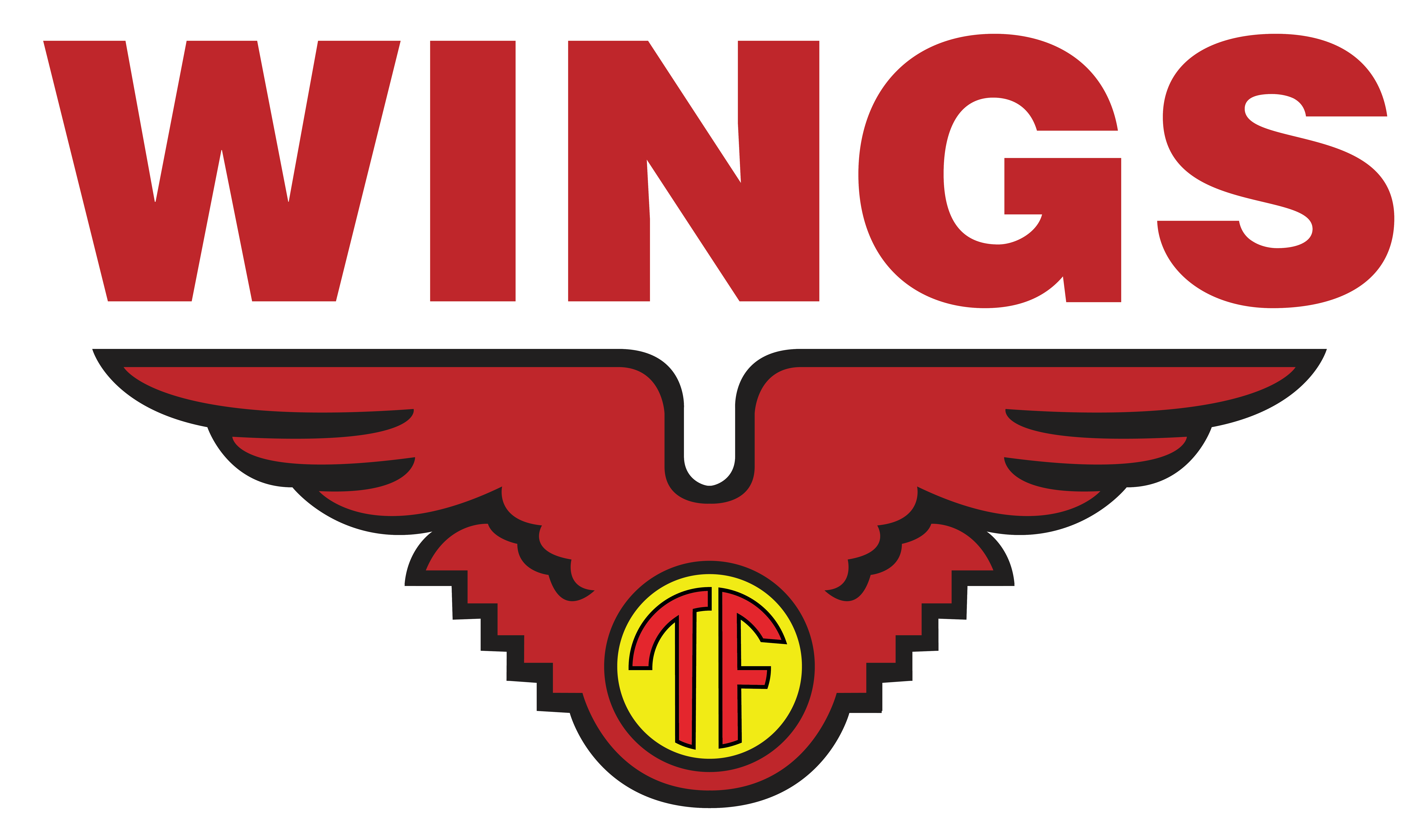 Wings Group Logo